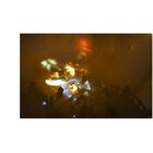 Activision Diablo III: Eternal Collection, Xbox One Base+DLC