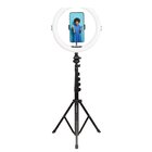 AgfaPhoto ARL11XL kit per vlogger