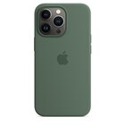 Apple Custodia MagSafe in silicone per iPhone 13 Pro - Eucalipto