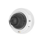 Axis P3375-LV IP Interno Cupola Parete 1920 x 1080 Pixel