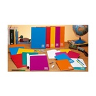 Blasetti Maxi 100Gr 21x29.7cm 1RC quaderno per scrivere Multicolore