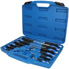 Brilliant Tools BT034012 Set Cacciavite di precisione