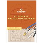 Canson 200005824 carta da disegno