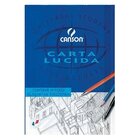 Canson 200005826 carta da disegno 10 fogli