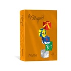 CARTOTECNICA FAVINI Favini A71E504 carta inkjet