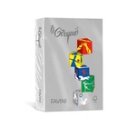 CARTOTECNICA FAVINI Favini A71U504 carta inkjet