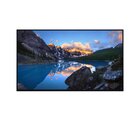 Dell UltraSharp U2424H 23.8" 1920 x 1080 Pixel FullHD LCD Nero Argento - SENZA STAND DA TAVOLO