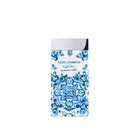 Dolce & Gabbana Dolce&Gabbana Light Blue Summer Vibes Eau De Toilette 100ml