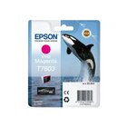 Epson C13T76034N10 cartuccia d'inchiostro 1 pz Originale Magenta vivido