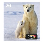 Epson Polar bear Multipack 4-colours 26 EasyMail