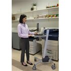 ERGOTRON Neo-Flex Laptop Cart scrivania per computer Grigio