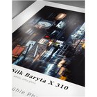Hahnemühle Photo Silk Baryta X gr310 61cmx15m