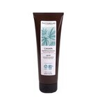 Harbor Phytorelax Laboratories Shampoo & doccia idratante & rigenerante – canapa 250 ml