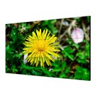 HIKVISION DS-D2055HE-G LCD 55" FullHD Nero