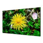HIKVISION DS-D2055LE-G LCD Interno