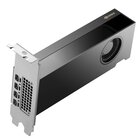 HP NVIDIA RTX PRO 2000 Blackwell da 16 GB
