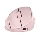 HP Tilt Ergo PNK MSE 720M EMEA-INTL EN L mouse