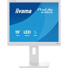IIyama ProLite B1980S-W1 Monitor PC 48,3 cm (19") 1280 x 1024 Pixel SVGA LED Bianco