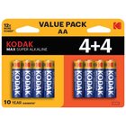Kodak 30419902 Batteria per uso domestico Stilo AA