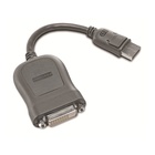 Lenovo 45J7915 cavo di interfaccia e adattatore DVI-D DisplayPort