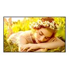 LG 43UL5Q-E visualizzatore di messaggi Pannello piatto per segnaletica digitale 109,2 cm (43") LED Wi-Fi 500 cd/m² 4K Ultra HD Nero WebOS 24/7