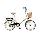 Nilox J1 Plus 20" Litio