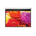 Optoma DS-1123PMG+ 123" 16:10