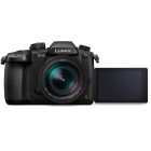 Panasonic Lumix GH5 + Leica DG Vario-Elmarit 12-60mm f/2.8-4 Power O.I.S.