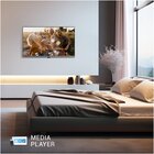 Panasonic TB-24S40AEZ TV 61 cm (24") 2K Ultra HD Smart TV Wi-Fi Nero