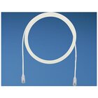 Panduit UTP, Cat. 6, 2 m cavo di rete Cat6 U/UTP (UTP)