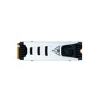 Patriot Viper Gaming PV553 2TB 2000GB M.2 2280 PCIe Gen5 x4