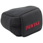 Pentax NP-X 1