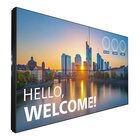 Philips 55BDL3305X LCD Interno