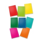 Pigna 02298870C Quaderno per scrivere 42 fogli Multicolore A4