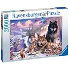 Ravensburger Winter Wolves Puzzle 2000 pz Animali