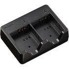 Ricoh Caricabatteria doppio BJ-12
