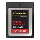 SanDisk ExtremePro 256 GB CFexpress