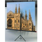 SOPAR Schermo proiezione Colosseo 155 x 155 cm 2,24 m (88") 1:1