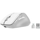 Speedlink LIBERA Rechargeable mouse Gaming Mano destra RF senza fili + Bluetooth Ottico 3200 DPI