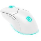 Speedlink SL-680102-WT mouse Gaming Mano destra RF Wireless + USB Type-A Ottico 4800 DPI