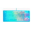SteelSeries APEX 3 TKL TASTIERA GAMING USB QWERTY AQUA