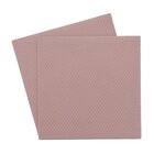 Thermal Grizzly Minus Pad 8 Cuscinetto termico