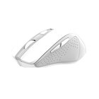 Trust Nito mouse Universale Mano destra RF Wireless Ottico 2200 DPI