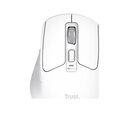 Trust Niven mouse Ufficio Mano destra RF senza fili + Bluetooth 3200 DPI