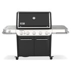 Weber Summit FS38 E Barbecue Barile GPL Nero, Acciaio inox 19050 W