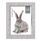 Zep Doneck B Cornice per foto singola Grigio