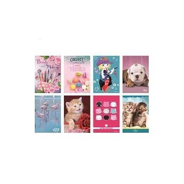 Blasetti 7057 A4 20 fogli Colori assortiti