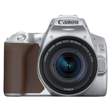 Canon EOS 250D + EF-S 18-55mm f/4-5.6 IS STM Argento