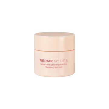 Diego Dalla Palma Renew My Lips Maschera labbra riparatrice 102 Rosa pallido 25ml