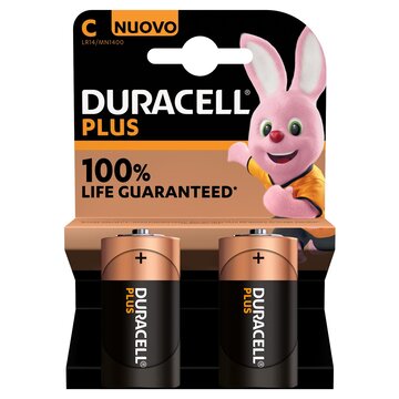 Duracell Plus 100 C B2 x10